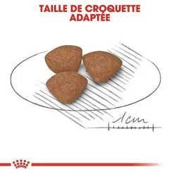 Royal Canin - Croquettes Mini Puppy Pour Chiot -nourriture pour chien Soldes 2023 67633
