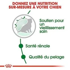 Royal Canin - Croquettes Mini Ageing 12+ Pour Chien Senior - 3,5Kg 12 Royal Canin - Croquettes Mini Ageing 12+ Pour Chien Senior - 3,5Kg -nourriture pour chien Soldes 2023 67646