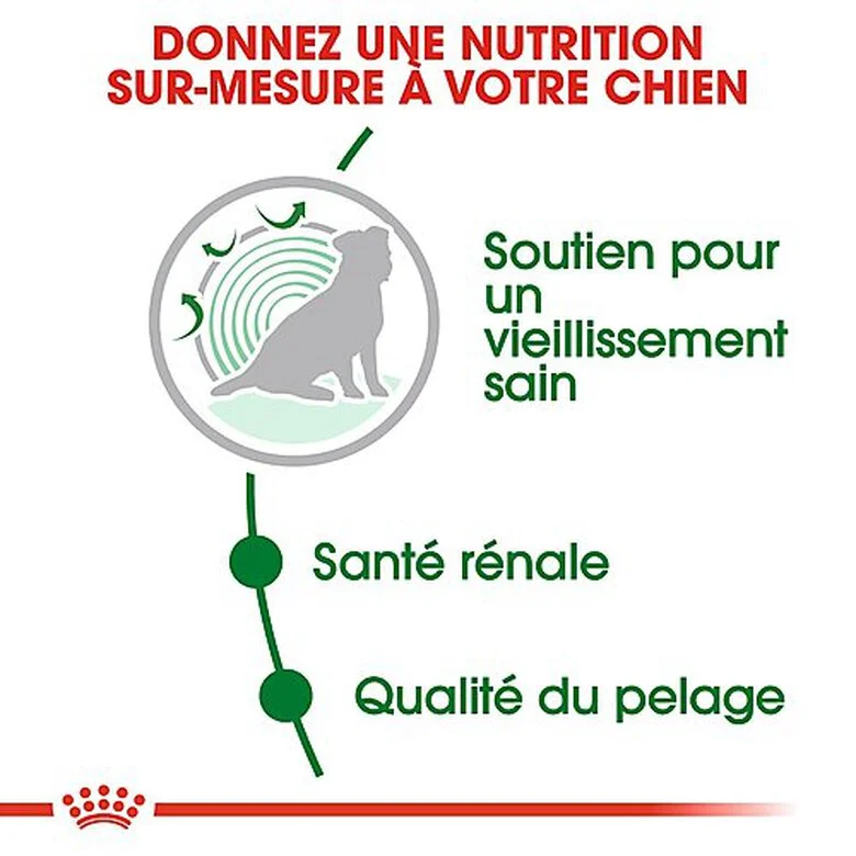 Royal Canin - Croquettes Mini Ageing 12+ Pour Chien Senior - 3,5Kg 6 Royal Canin - Croquettes Mini Ageing 12+ Pour Chien Senior - 3,5Kg – Image 4