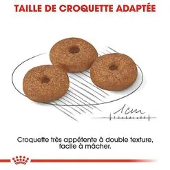 Royal Canin - Croquettes Mini Ageing 12+ Pour Chien Senior - 3,5Kg 13 Royal Canin - Croquettes Mini Ageing 12+ Pour Chien Senior - 3,5Kg -nourriture pour chien Soldes 2023 67647