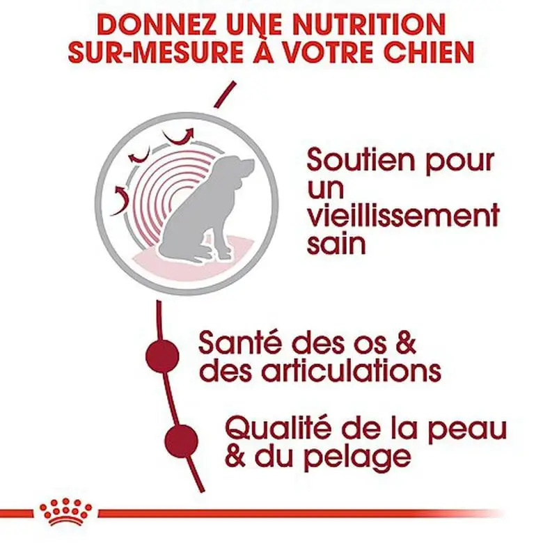 Royal Canin - Croquettes Medium Ageing 10+ Pour Chien Senior - 15Kg 6 Royal Canin - Croquettes Medium Ageing 10+ Pour Chien Senior - 15Kg – Image 4