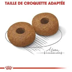 Royal Canin - Croquettes Medium Ageing 10+ Pour Chien Senior - 15Kg 13 Royal Canin - Croquettes Medium Ageing 10+ Pour Chien Senior - 15Kg -nourriture pour chien Soldes 2023 67668