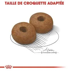 Royal Canin - Croquettes Maxi Ageing 8+ Pour Chien Senior - 15Kg -nourriture pour chien Soldes 2023 67675