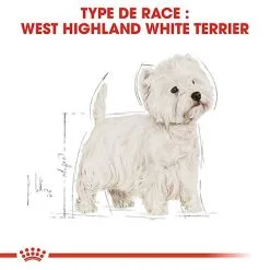 Royal Canin - Croquettes Westie Pour Chien Adulte - 3Kg -nourriture pour chien Soldes 2023 67756
