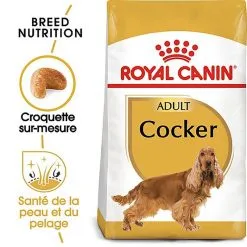 Royal Canin - Croquettes Cocker Pour Chien Adulte -nourriture pour chien Soldes 2023 67779