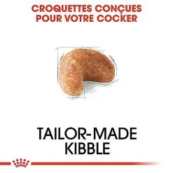 Royal Canin - Croquettes Cocker Pour Chien Adulte -nourriture pour chien Soldes 2023 67780