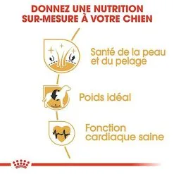 Royal Canin - Croquettes Cocker Pour Chien Adulte -nourriture pour chien Soldes 2023 67781