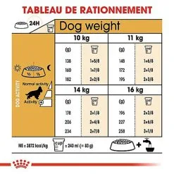 Royal Canin - Croquettes Cocker Pour Chien Adulte -nourriture pour chien Soldes 2023 67782