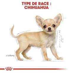 Royal Canin - Croquettes Chihuahua Junior Pour Chiot - 1,5Kg -nourriture pour chien Soldes 2023 67804