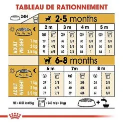 Royal Canin - Croquettes Chihuahua Junior Pour Chiot - 1,5Kg -nourriture pour chien Soldes 2023 67805