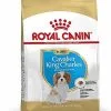 Royal Canin - Croquettes Cavalier King Charles Junior Pour Chiot - 1,5Kg -nourriture pour chien Soldes 2023 67807