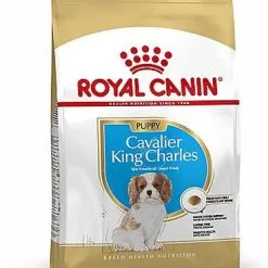Royal Canin - Croquettes Cavalier King Charles Junior Pour Chiot - 1,5Kg