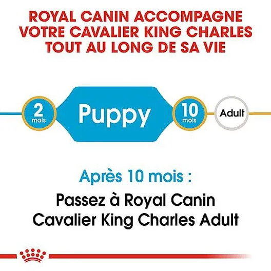 Royal Canin - Croquettes Cavalier King Charles Junior Pour Chiot - 1,5Kg 4 Royal Canin - Croquettes Cavalier King Charles Junior Pour Chiot - 1,5Kg – Image 2