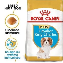 Royal Canin - Croquettes Cavalier King Charles Junior Pour Chiot - 1,5Kg 11 Royal Canin - Croquettes Cavalier King Charles Junior Pour Chiot - 1,5Kg -nourriture pour chien Soldes 2023 67809