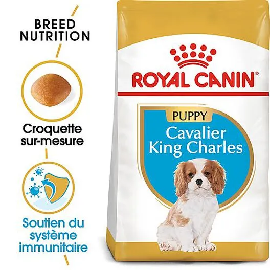 Royal Canin - Croquettes Cavalier King Charles Junior Pour Chiot - 1,5Kg 5 Royal Canin - Croquettes Cavalier King Charles Junior Pour Chiot - 1,5Kg – Image 3