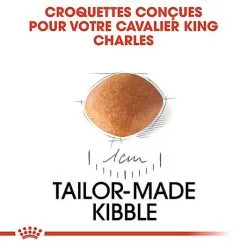 Royal Canin - Croquettes Cavalier King Charles Junior Pour Chiot - 1,5Kg 12 Royal Canin - Croquettes Cavalier King Charles Junior Pour Chiot - 1,5Kg -nourriture pour chien Soldes 2023 67810