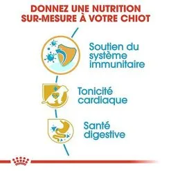 Royal Canin - Croquettes Cavalier King Charles Junior Pour Chiot - 1,5Kg 13 Royal Canin - Croquettes Cavalier King Charles Junior Pour Chiot - 1,5Kg -nourriture pour chien Soldes 2023 67811