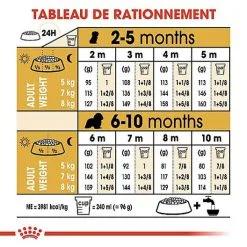 Royal Canin - Croquettes Cavalier King Charles Junior Pour Chiot - 1,5Kg 15 Royal Canin - Croquettes Cavalier King Charles Junior Pour Chiot - 1,5Kg -nourriture pour chien Soldes 2023 67813