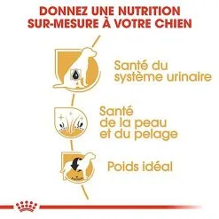 Royal Canin - Croquettes Bichon Frisé Pour Chien Adulte - 1,5Kg -nourriture pour chien Soldes 2023 67818