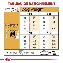 Royal Canin - Croquettes Bichon Frisé Pour Chien Adulte - 1,5Kg -nourriture pour chien Soldes 2023 67819