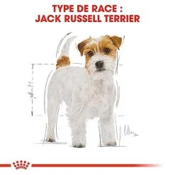 Royal Canin - Croquettes Jack Russel Terrier Pour Chien Adulte 10 Royal Canin - Croquettes Jack Russel Terrier Pour Chien Adulte -nourriture pour chien Soldes 2023 67829