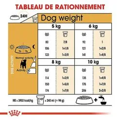 Royal Canin - Croquettes Jack Russel Terrier Pour Chien Adulte 13 Royal Canin - Croquettes Jack Russel Terrier Pour Chien Adulte -nourriture pour chien Soldes 2023 67832