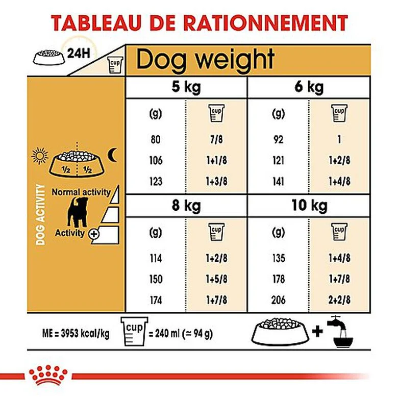 Royal Canin - Croquettes Jack Russel Terrier Pour Chien Adulte 7 Royal Canin - Croquettes Jack Russel Terrier Pour Chien Adulte – Image 5