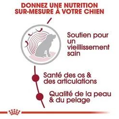 Royal Canin - Croquettes Medium Ageing 10+ Pour Chien Senior - 3Kg -nourriture pour chien Soldes 2023 67945