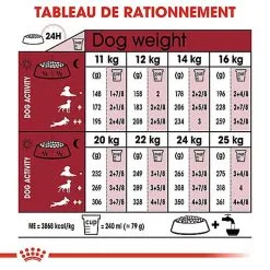 Royal Canin - Croquettes Medium Ageing 10+ Pour Chien Senior - 3Kg -nourriture pour chien Soldes 2023 67948