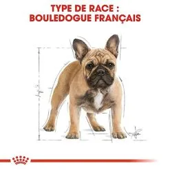 Royal Canin - Croquettes Bouledogue Français Adulte Pour Chien - 9Kg -nourriture pour chien Soldes 2023 67997