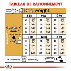 Royal Canin - Croquettes Bouledogue Français Adulte Pour Chien - 9Kg -nourriture pour chien Soldes 2023 68001