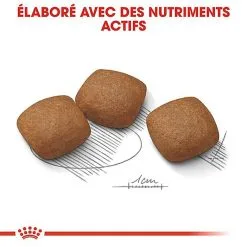 Royal Canin - Croquettes Maxi Joint Care Pour Chien - 10Kg -nourriture pour chien Soldes 2023 68092