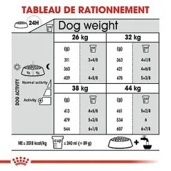 Royal Canin - Croquettes Maxi Joint Care Pour Chien - 10Kg -nourriture pour chien Soldes 2023 68093