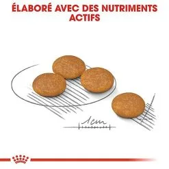 Royal Canin - Croquettes Mini Dermacomfort Pour Chien - 2Kg -nourriture pour chien Soldes 2023 68100