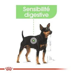 Royal Canin - Croquettes Mini Digestive Care Pour Chien - 3Kg -nourriture pour chien Soldes 2023 68122