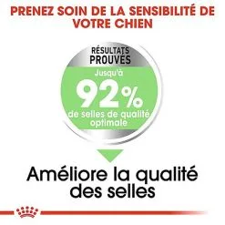 Royal Canin - Croquettes Mini Digestive Care Pour Chien - 3Kg -nourriture pour chien Soldes 2023 68123