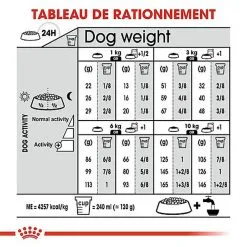 Royal Canin - Croquettes Mini Digestive Care Pour Chien - 3Kg -nourriture pour chien Soldes 2023 68126