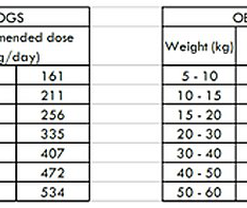 nourriture pour chien Soldes 2023 -nourriture pour chien Soldes 2023 68268
