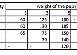 Nath - Croquettes Mini Puppy Au Poulet Pour Chiot - 3Kg -nourriture pour chien Soldes 2023 68273 1