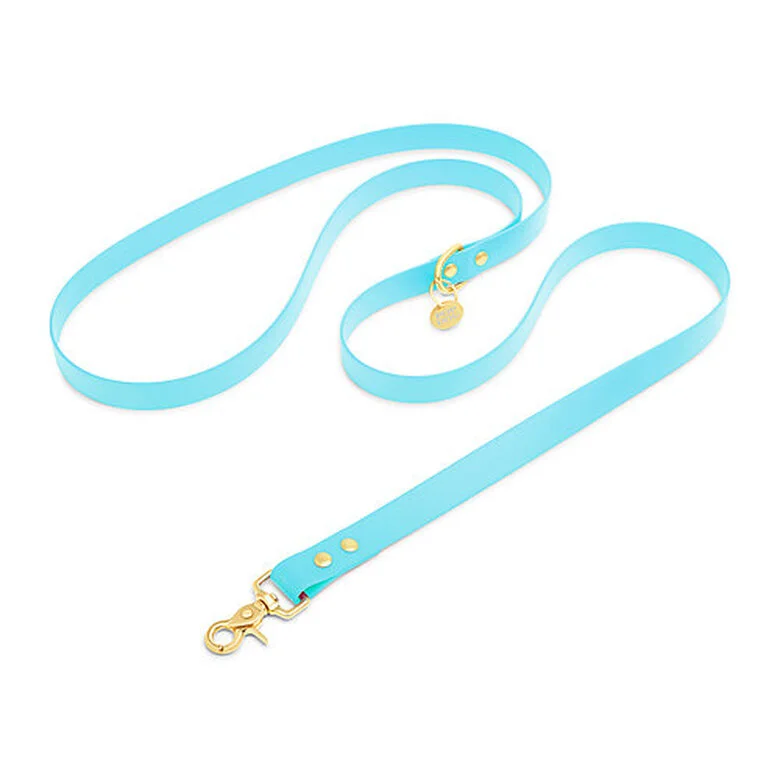 Pop Dog - Laisse Bandoulière Dragueur Bleu Pour Chien - M/L 3 Pop Dog - Laisse Bandoulière Dragueur Bleu Pour Chien - M/L