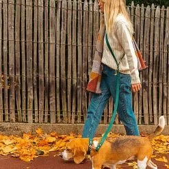 Pop Dog - Laisse Bandoulière Elégant Vert Pour Chien - XS/S -nourriture pour chien Soldes 2023 69001 1