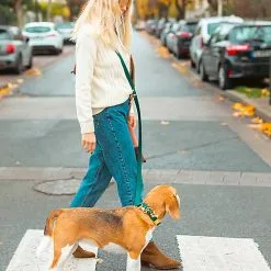 Pop Dog - Laisse Bandoulière Elégant Vert Pour Chien - XS/S -nourriture pour chien Soldes 2023 69002 1