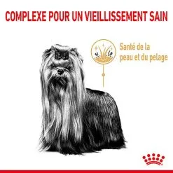 Royal Canin - Croquettes Yorkshire Terrier Adult 8+ Pour Chiens Seniors - 1,5Kg -nourriture pour chien Soldes 2023 74342