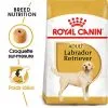 Royal Canin - Croquettes Labrador Adult Pour Chiens - 3Kg 1 Royal Canin - Croquettes Labrador Adult Pour Chiens - 3Kg -nourriture pour chien Soldes 2023 74353