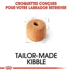 Royal Canin - Croquettes Labrador Adult Pour Chiens - 3Kg -nourriture pour chien Soldes 2023 74355
