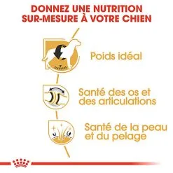 Royal Canin - Croquettes Labrador Adult Pour Chiens - 3Kg -nourriture pour chien Soldes 2023 74356
