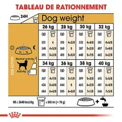 Royal Canin - Croquettes Labrador Adult Pour Chiens - 3Kg -nourriture pour chien Soldes 2023 74357