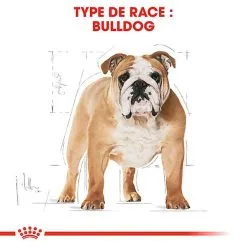 Royal Canin - Croquettes Bulldog Adult Pour Chiens - 3Kg -nourriture pour chien Soldes 2023 74365