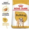 Royal Canin - Croquettes Bulldog Adult Pour Chiens - 3Kg -nourriture pour chien Soldes 2023 74366