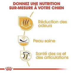 Royal Canin - Croquettes Bulldog Adult Pour Chiens - 3Kg -nourriture pour chien Soldes 2023 74368